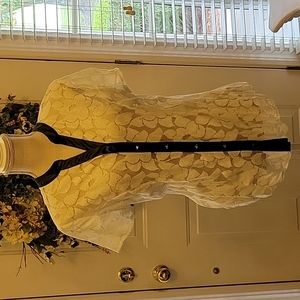 Cato cream floral lace short sleeve blouse black faux leather trim sz Large EUC…